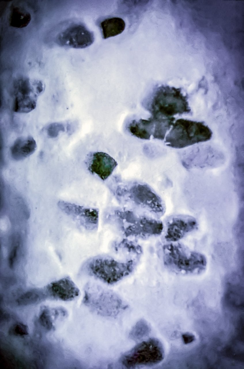 Digital Download Footprints in the Snow LIC JaiGieEse PhotoArt